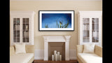 316 • “Night Light” Fine Art Poster