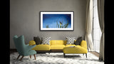 316 • “Night Light” Fine Art Poster