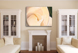 326 • “Beauty and the Feast” Fine Art Canvas