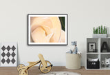 326 • “Beauty and the Feast” Fine Art Poster