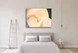 326 • “Beauty and the Feast” Fine Art Canvas