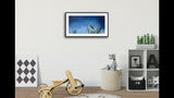 316 • “Night Light” Fine Art Poster