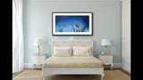 316 • “Night Light” Fine Art Poster