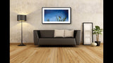 316 • “Night Light” Fine Art Poster
