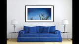 316 • “Night Light” Fine Art Poster