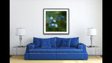 315 • “Tranquility” Fine Art Poster