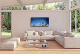 316 • “Night Light” Fine Art Canvas