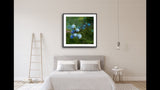 315 • “Tranquility” Fine Art Poster