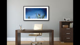 316 • “Night Light” Fine Art Poster