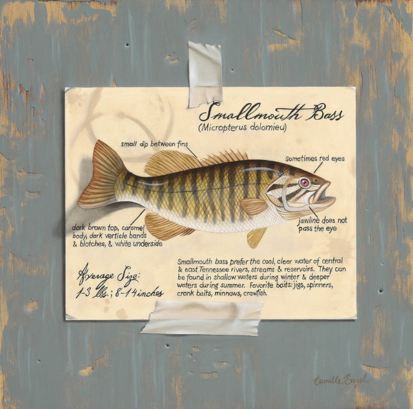 311 • “Fish Tale” Fine Art Poster – Camille Engel Fine Art