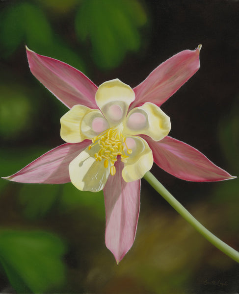 156 • “Wild Columbine” Fine Art Canvas