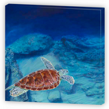 282 • ”Sea Turtle Solitude” Fine Art Canvas
