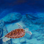 282 • ”Sea Turtle Solitude” Fine Art Canvas