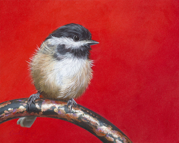 125 • “My Little Chickadee” Fine Art Canvas