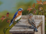 250 • “Cristy's Bluebirds” Fine Art Canvas