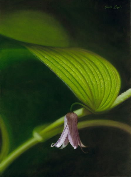 111 • “Southern Belle“ Fine Art Poster