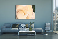 326 • “Beauty and the Feast” Fine Art Canvas