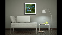 315 • “Tranquility” Fine Art Poster