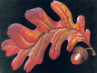 142 • “Aerial Waltz in Fiery Splendor” Fine Art Poster