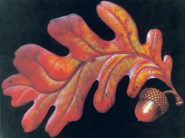 142 • “Aerial Waltz in Fiery Splendor” Fine Art Poster